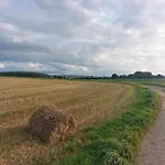 Butterflies, 134 Semesterbostad