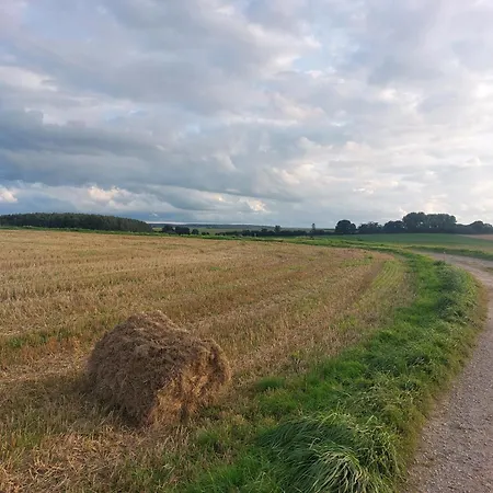 Butterflies, 134 Feriehus