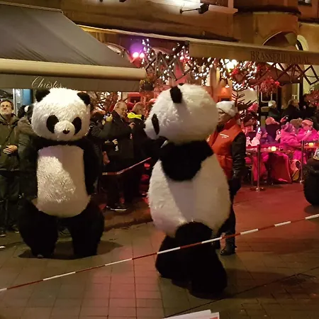 Butterflies, 134 Simpelveld