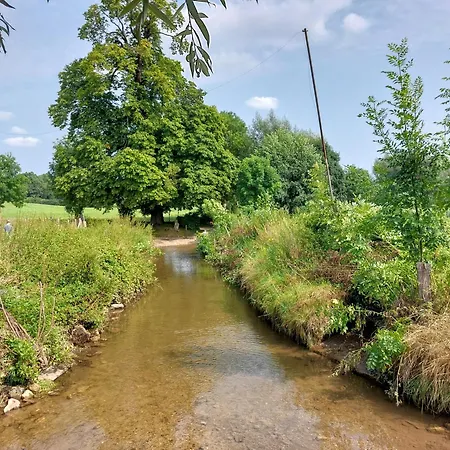 Butterflies, 134 Simpelveld